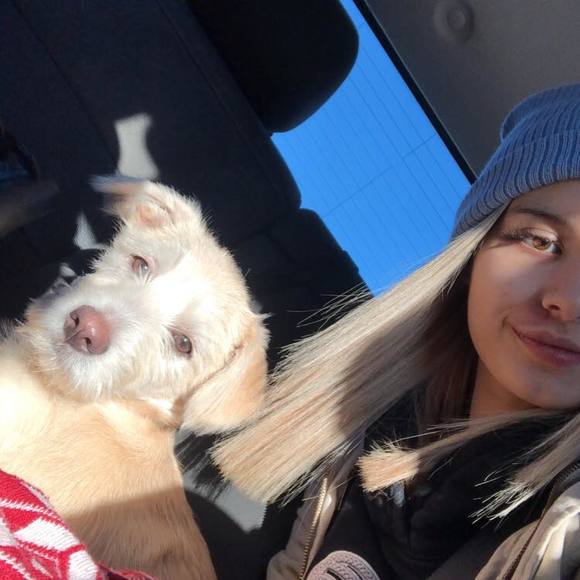 Meet your Posher, Maddy - Picture 1 of 1